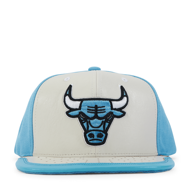 Bulls Day 1 Snapback