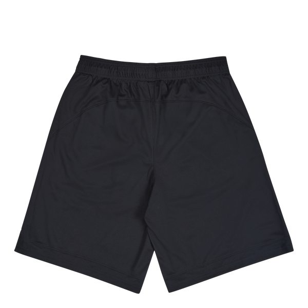 UA BASELINE 10'' SHORT