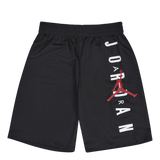 Jordan Vert Mesh Short