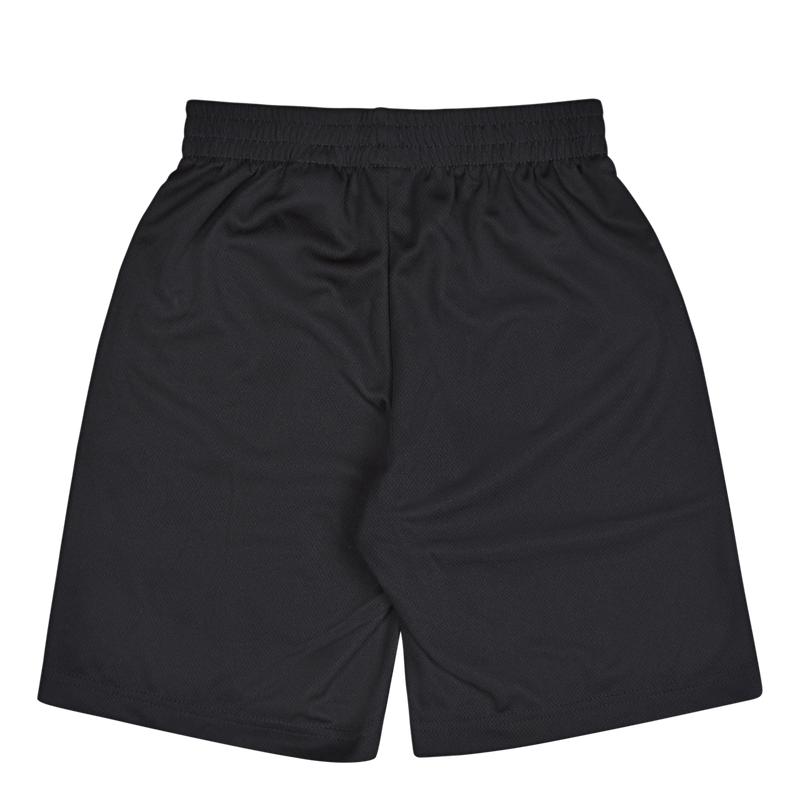 Jordan Vert Mesh Short