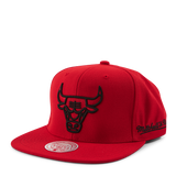 Christmas Day Snapback