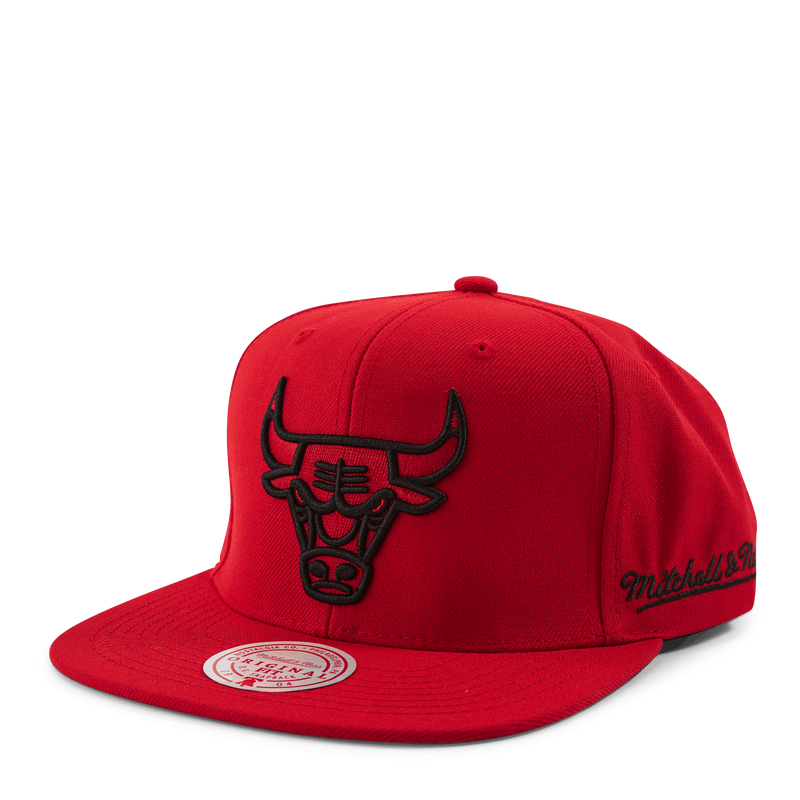 Christmas Day Snapback