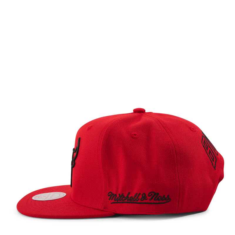 Christmas Day Snapback