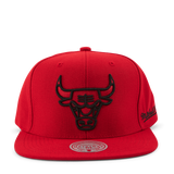 Christmas Day Snapback