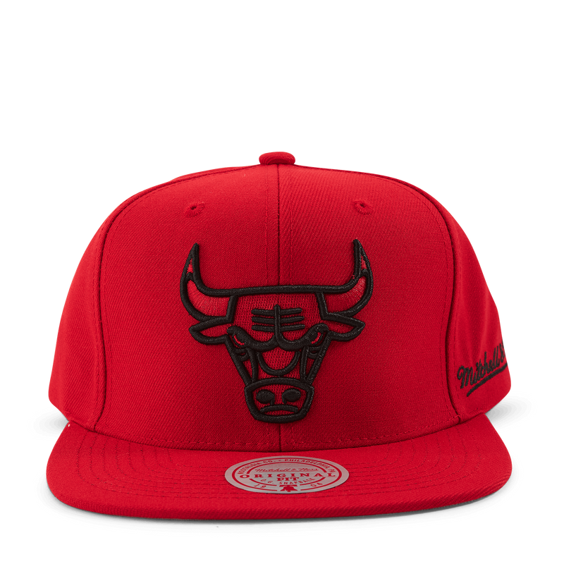 Christmas Day Snapback