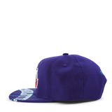 Swingman Pop Snapback HWC