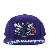Swingman Pop Snapback HWC