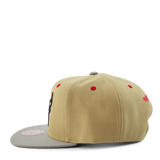 Classic Canvas Snapback