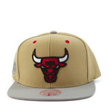 Classic Canvas Snapback