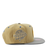 Classic Canvas Snapback