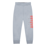 Jordan Mvp  Tricot Set