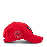 BULLS TEAM SIDE PATCH 9FORTY