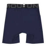 UA HG Armour Shorts