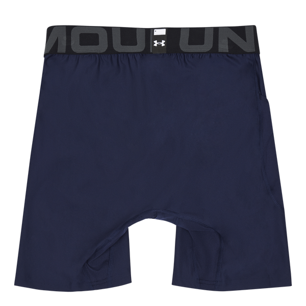 UA HG Armour Shorts