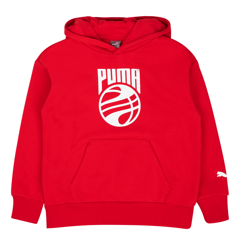 Basketball Posterize Hoodie Fl