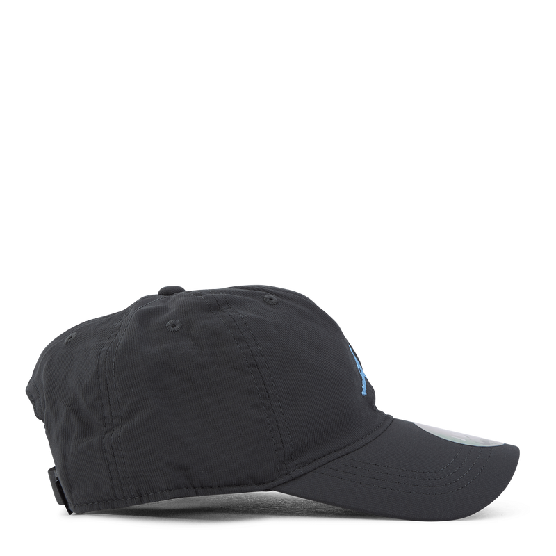 JORDAN ESSENTIAL CAP