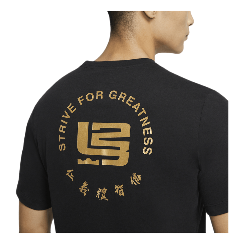 Dri-Fit LeBron "Strive For Greatness"